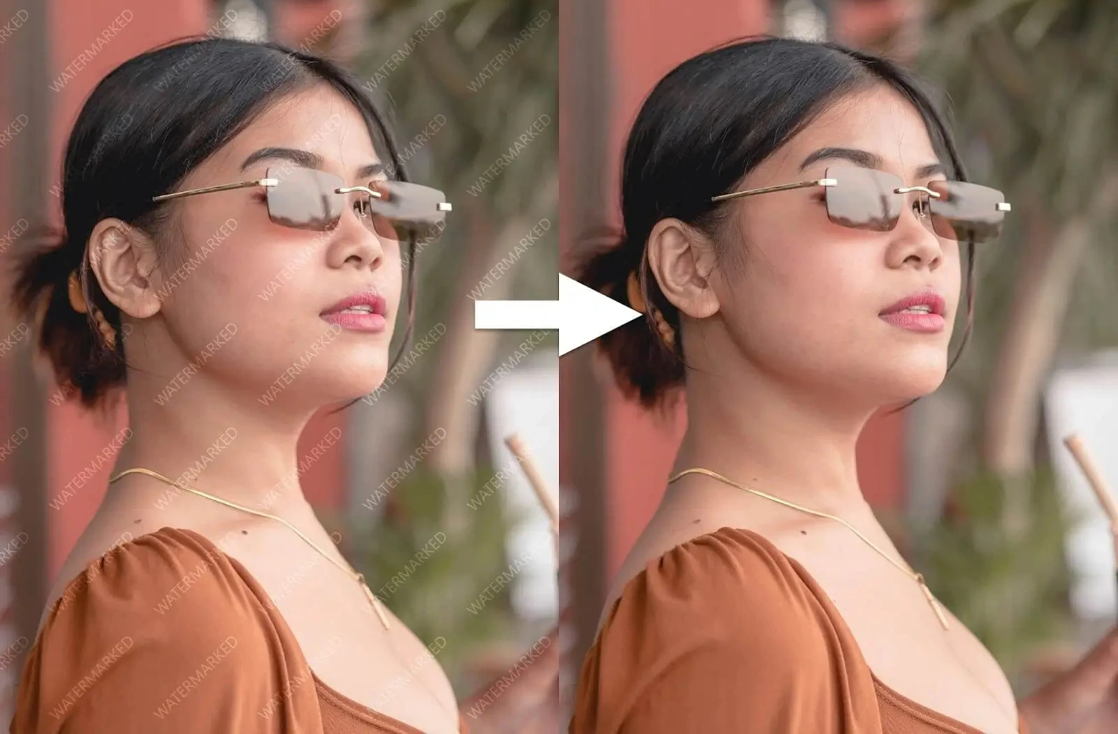 AI Watermark Remover cleanup preview.